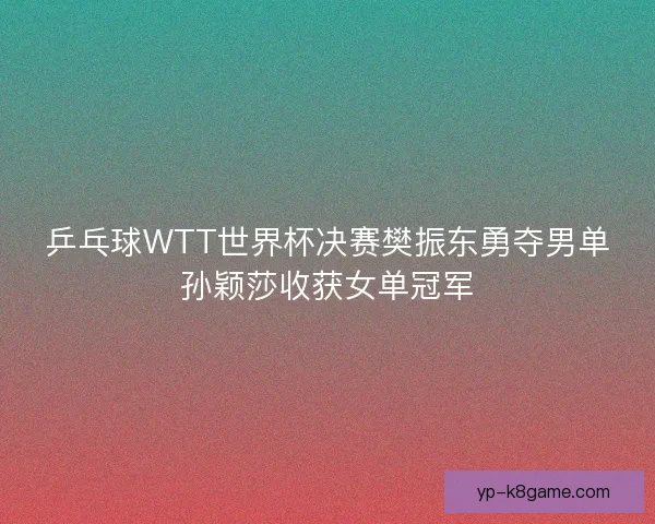 乒乓球WTT世界杯决赛樊振东勇夺男单孙颖莎收获女单冠军